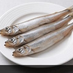 柳葉魚