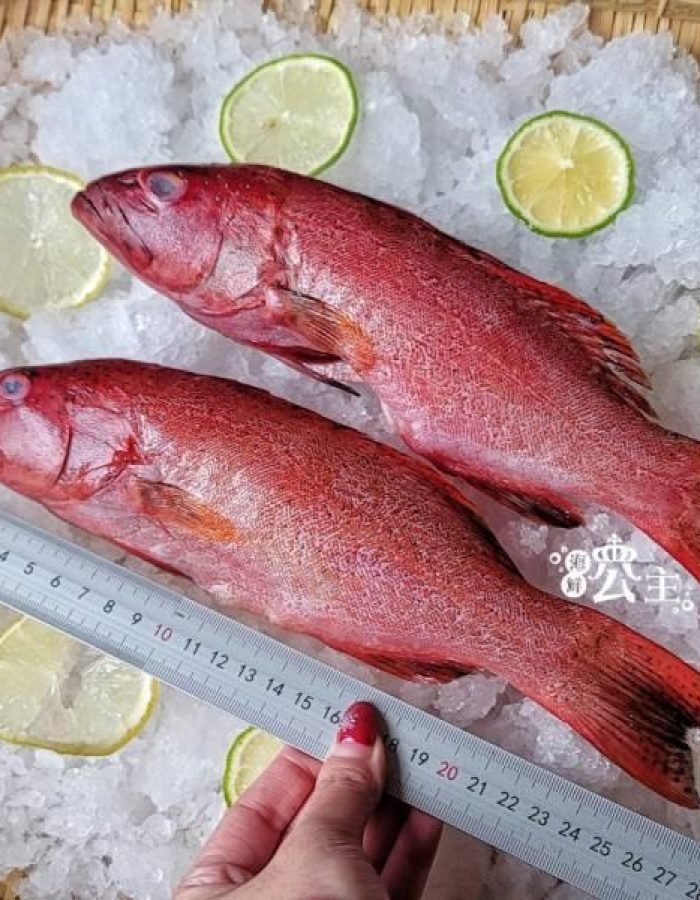野生燕尾紅鰷 每隻400g 以上